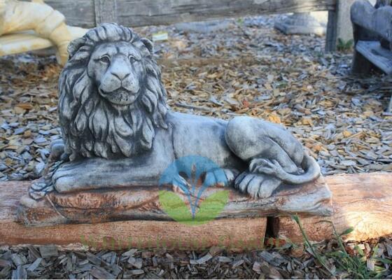 Lion Resting. Right